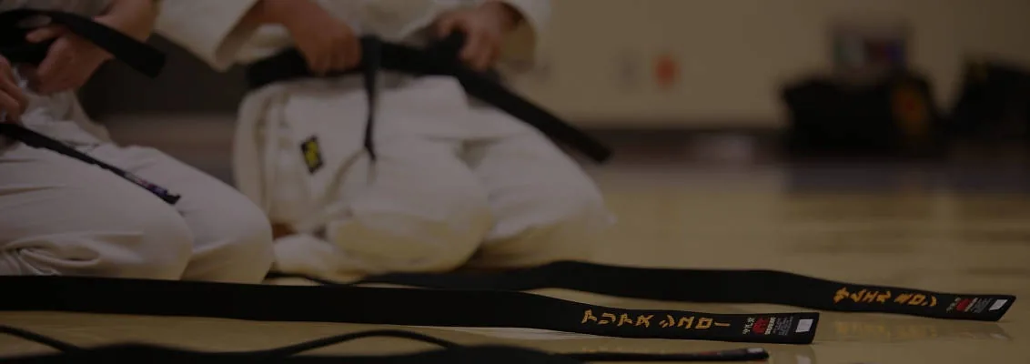 Karateka in traditional dojo